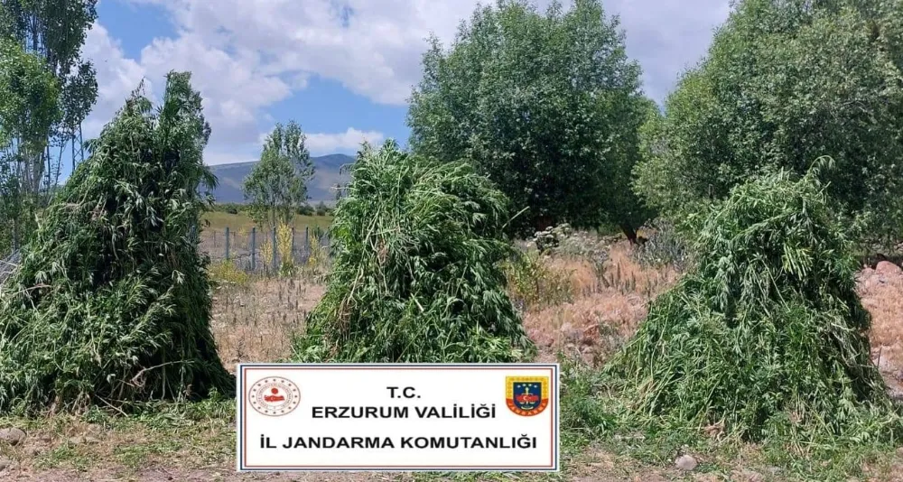 Erzurum’da Jandarmadan Zehir Tacirlerine ve Güvenlik Önlemlerine Çift Yönlü Müdahale