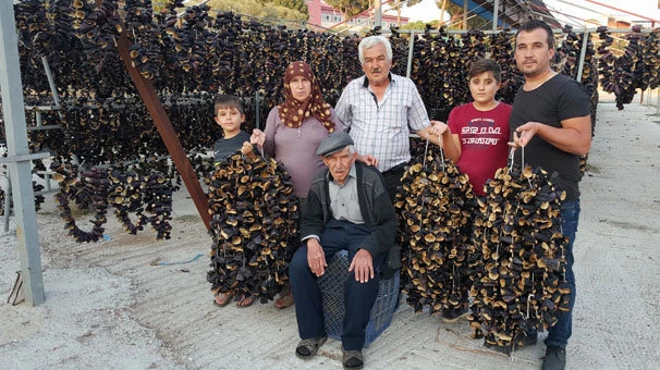 Nazilli